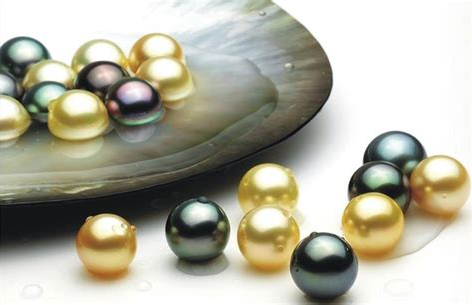 珍珠
